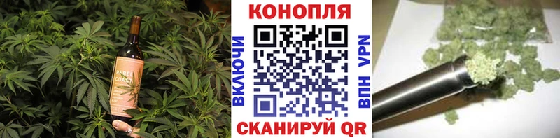 мега ссылка  купить   Циолковский  Cannafood конопля 