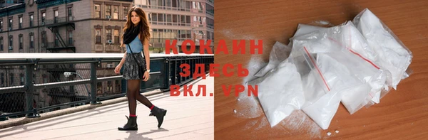 дживик Лабытнанги