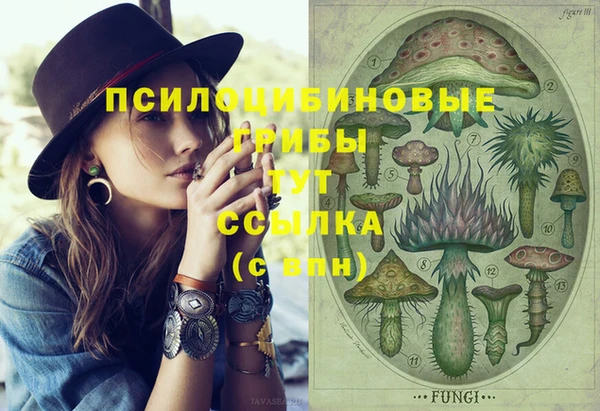 кокаин перу Ладушкин