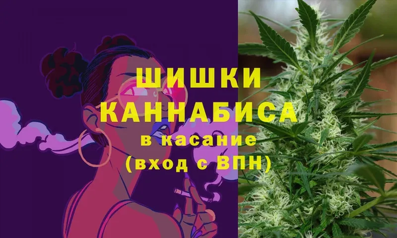 Марихуана Amnesia  Циолковский 